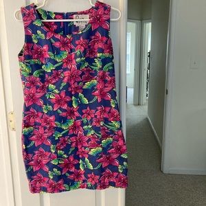 Gently used shift dress. Size 6. So comfy and love the pockets.